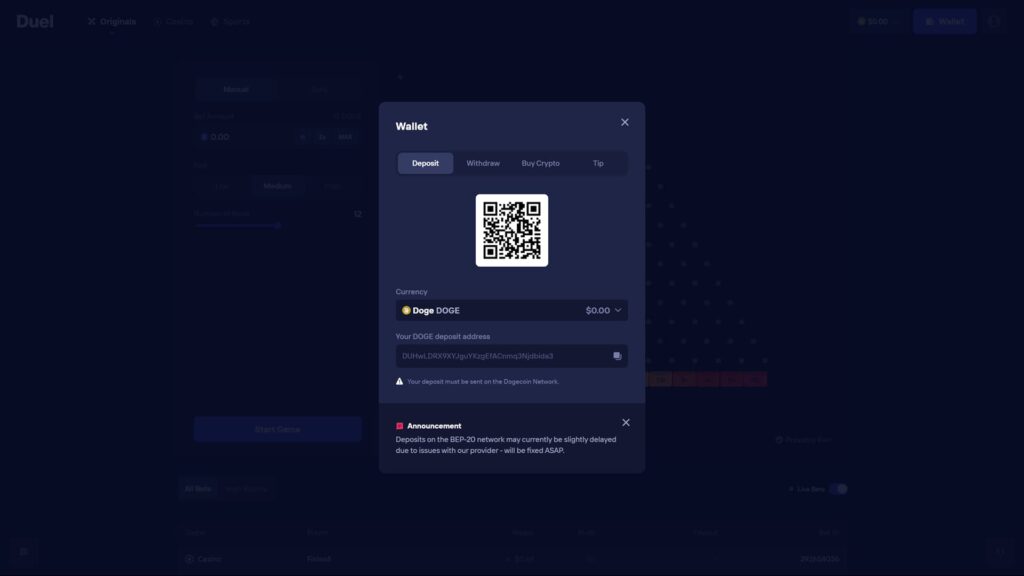 A high-definition screenshot of the Duel crypto casino Wallet modal window displaying the deposit process for Dogecoin (DOGE). The interface features a prominent QR code for mobile transfers, a unique DOGE deposit address field, and tabs for Withdraw, Buy Crypto, and Tip. A warning notice reminds users that deposits must be sent on the Dogecoin Network. At the bottom, a red announcement banner mentions potential delays for BEP-20 network deposits. The dark-themed background shows the blurred Plinko game interface and top navigation links for Originals, Casino, and Sports